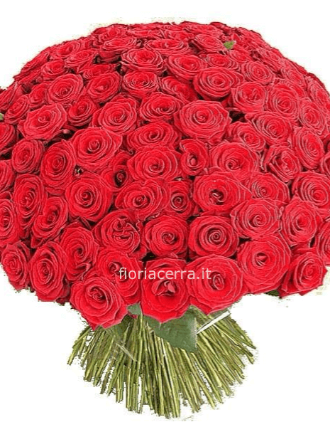 rose massificate a gruppo