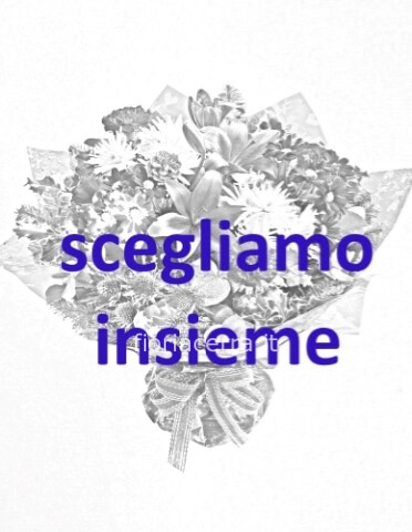 Omaggio da concordare a telefono al 3914790710